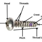 15 Different Types of Screws & Their Uses (With Picture)