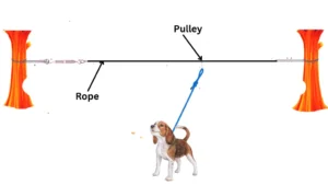dog runner mechanism