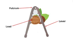 nut cracker lever example