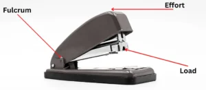 stapler second class lever example