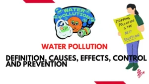 Water Pollution- Definition, Sources, Causes, Effects Prevention and control