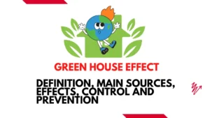 Green House Effect: Intro, Main Sources, Effects, Prevention and Control