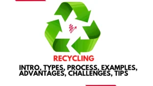 Recycling- Intro, Types, Process, Examples, Advantages, Challenges, Tips