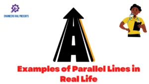 20 Parallel Lines Examples in the Real World: A Visual Guide
